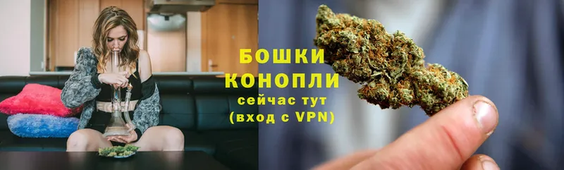 Бошки марихуана OG Kush  Амурск 